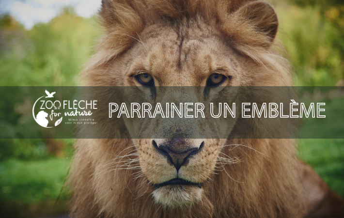 NOUVEAUTÉ  ENVIE DE PARRAINER UN ANIMAL